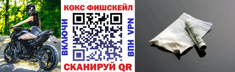COCAIN Fish Scale  Купить  Кореновск 